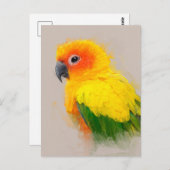 Sun Conure Portrait 001 Briefkaart (Voorkant / Achterkant)
