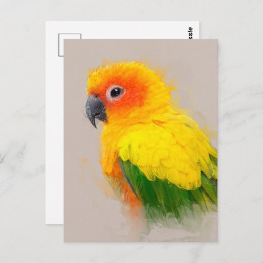 Sun Conure Portrait 001 Briefkaart (Voorkant / Achterkant)