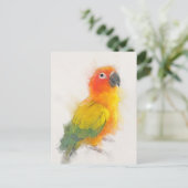 Sun Conure Portrait Briefkaart (Staand voorkant)