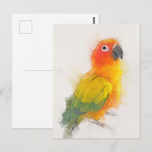 Sun Conure Portrait Briefkaart (Voorkant / Achterkant)