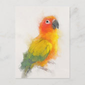 Sun Conure Portrait Briefkaart (Voorkant)
