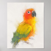 Sun Conure Portrait Poster (Voorkant)