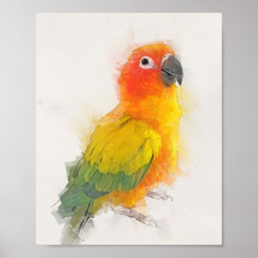 Sun Conure Portrait Poster (Voorkant)