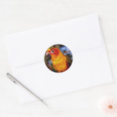 Sun conure ronde sticker (Envelop)