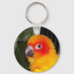 Sun Conure Sleutelhanger