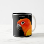 Sun Conure Tweekleurige Koffiemok (Voorkant rechts)
