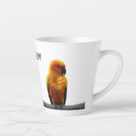 Sun Conure Wildlife Art Persoonlijke naam Dier Latte Mok