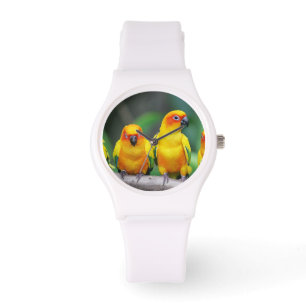 Sun Conures Horloge