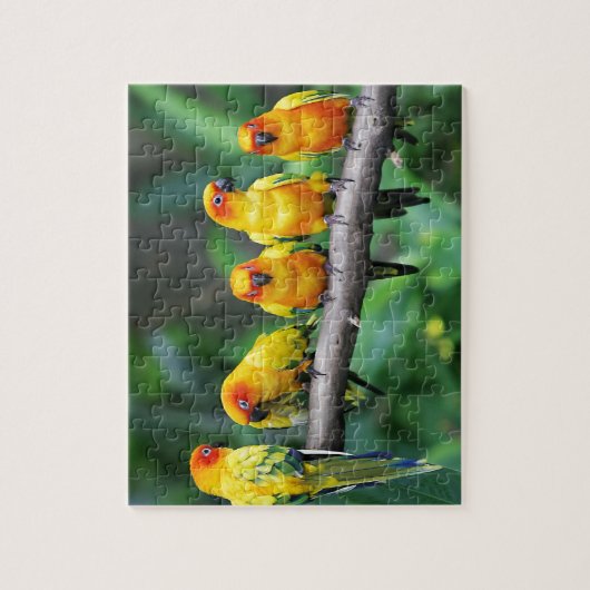 Sun Conures Legpuzzel (Verticaal)