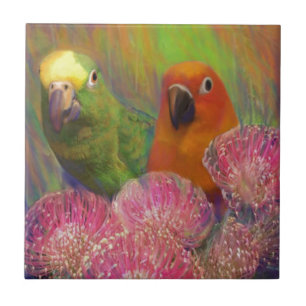 Sun Conures Parrots Tegeltje