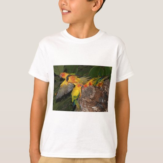 Sun Conures T-shirt (Voorkant)