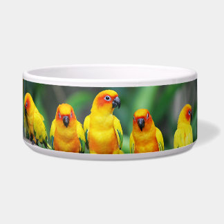 Sun Conures Voerbakje