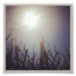 Sun-Corn God 2 Foto Afdruk