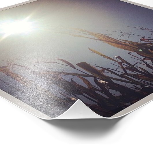 Sun-Corn God 2 Foto Afdruk (Hoek)