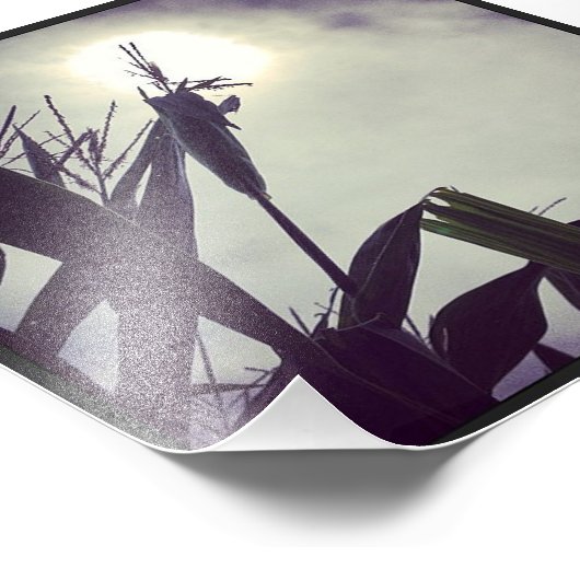 Sun-Corn God Foto Afdruk (Hoek)