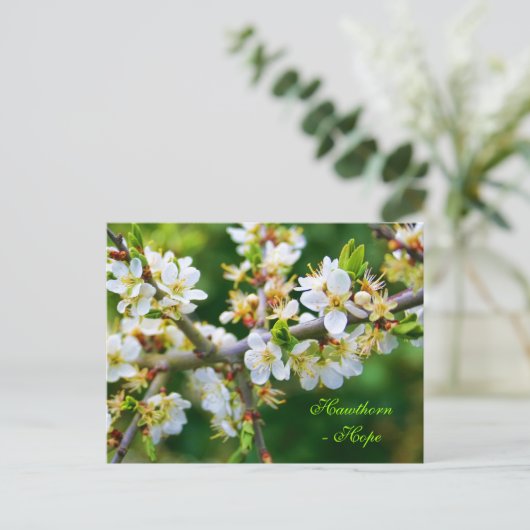 Sun-Dapped Spring Hawthorn Briefkaart (Staand voorkant)