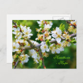 Sun-Dapped Spring Hawthorn Briefkaart (Voorkant / Achterkant)