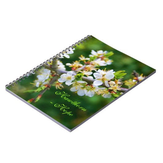 Sun-Dapped Spring Hawthorn Notitieboek (Linkerzijde)