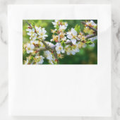 Sun-Dapped Spring Hawthorn Rechthoekige Sticker (Tas)