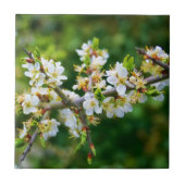 Sun-Dapped Spring Hawthorn Tegeltje (Voorkant)