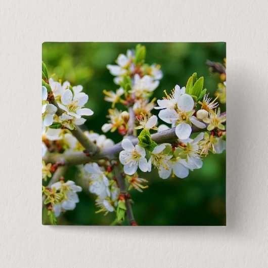 Sun-Dapped Spring Hawthorn Vierkante Button 5,1 Cm (Voorkant)
