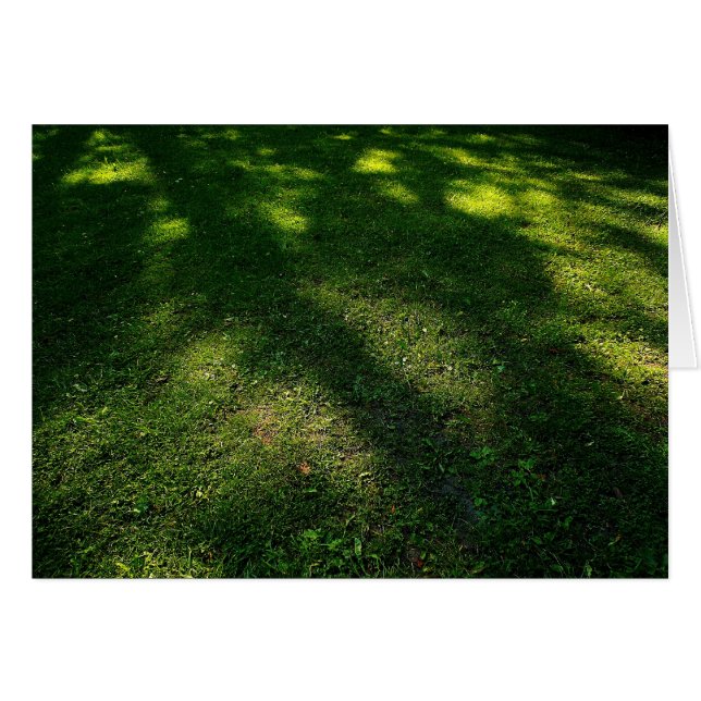 Sun Dappled Lawn (Voorkant Horizontaal)