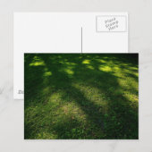 Sun Dappled Lawn Briefkaart (Voorkant / Achterkant)
