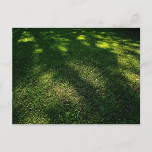 Sun Dappled Lawn Briefkaart (Voorkant)