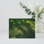 Sun Dappled Lawn Briefkaart (Staand voorkant)