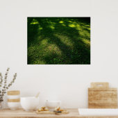 Sun Dappled Lawn Poster (Keuken)