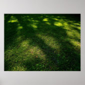 Sun Dappled Lawn Poster (Voorkant)