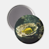 Sun Dappled zonnevis Magneet (Voorkant / Achterkant)