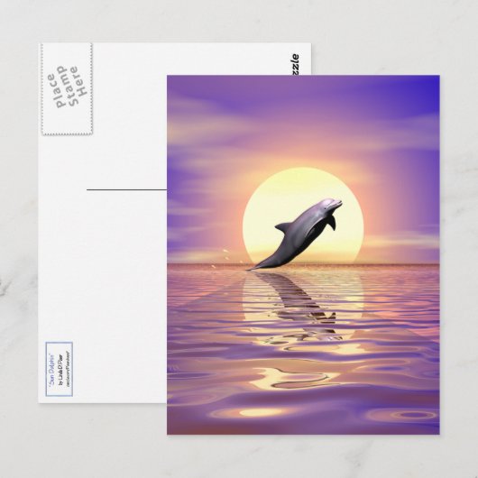Sun Dolphin Briefkaart (Voorkant / Achterkant)