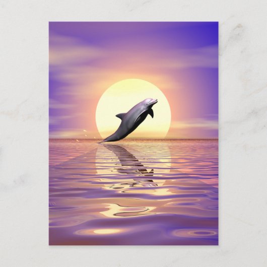 Sun Dolphin Briefkaart (Voorkant)