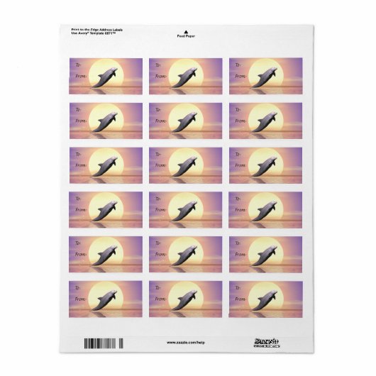 Sun Dolphin Gift Label (Full Sheet)