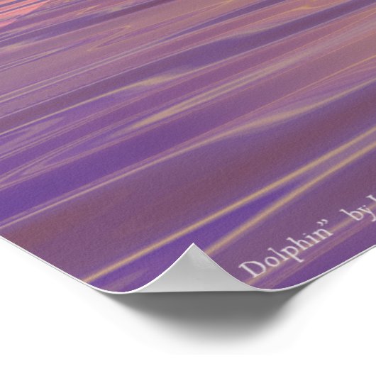 Sun Dolphin Poster (Hoek)