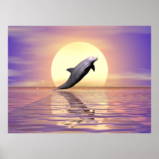 Sun Dolphin Poster (Voorkant)