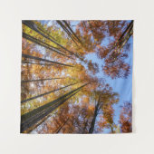 Sun-drenched Autumn Trees Wandkleed (Voorkant (horizontaal))