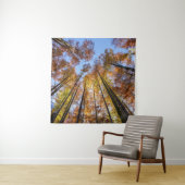 Sun-drenched Autumn Trees Wandkleed (In situ)