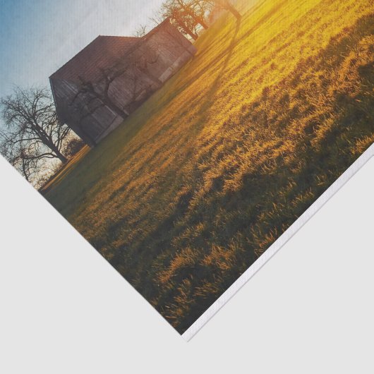 Sun-Drenched Barn en Field Tissuepapier (Detail)