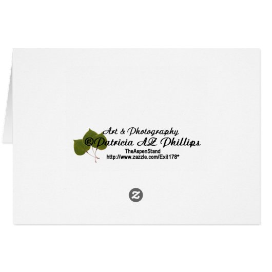 Sun Drenched Gaillardia (Achterkant Horizontaal)