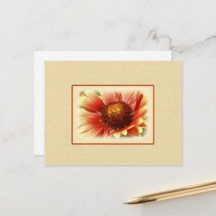 Sun Drenched Gaillardia Briefkaart