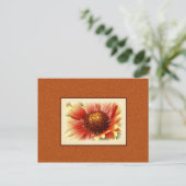 Sun Drenched Gaillardia Foto Miss You Briefkaart (Staand voorkant)