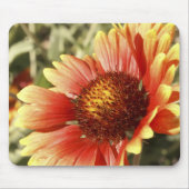 Sun Drenched Gaillardia Muismat (Voorkant)