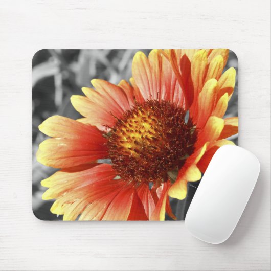 Sun Drenched Gaillardia Muismat (Met muis)