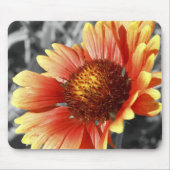 Sun Drenched Gaillardia Muismat (Voorkant)