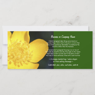 Sun Drenched Golden Buttercup