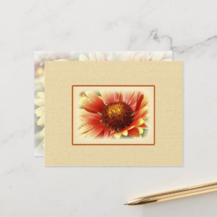 Sun Drenched Yellow Oranje Gaillardia-ventilator Briefkaart