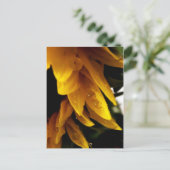 Sun Drups Briefkaart (Staand voorkant)