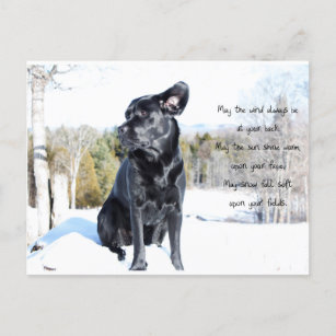 Sun en Wind - Dog Quote - Black Labrador Briefkaart